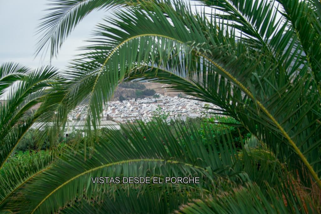 Finca Villa Rey Ardales Buitenkant foto